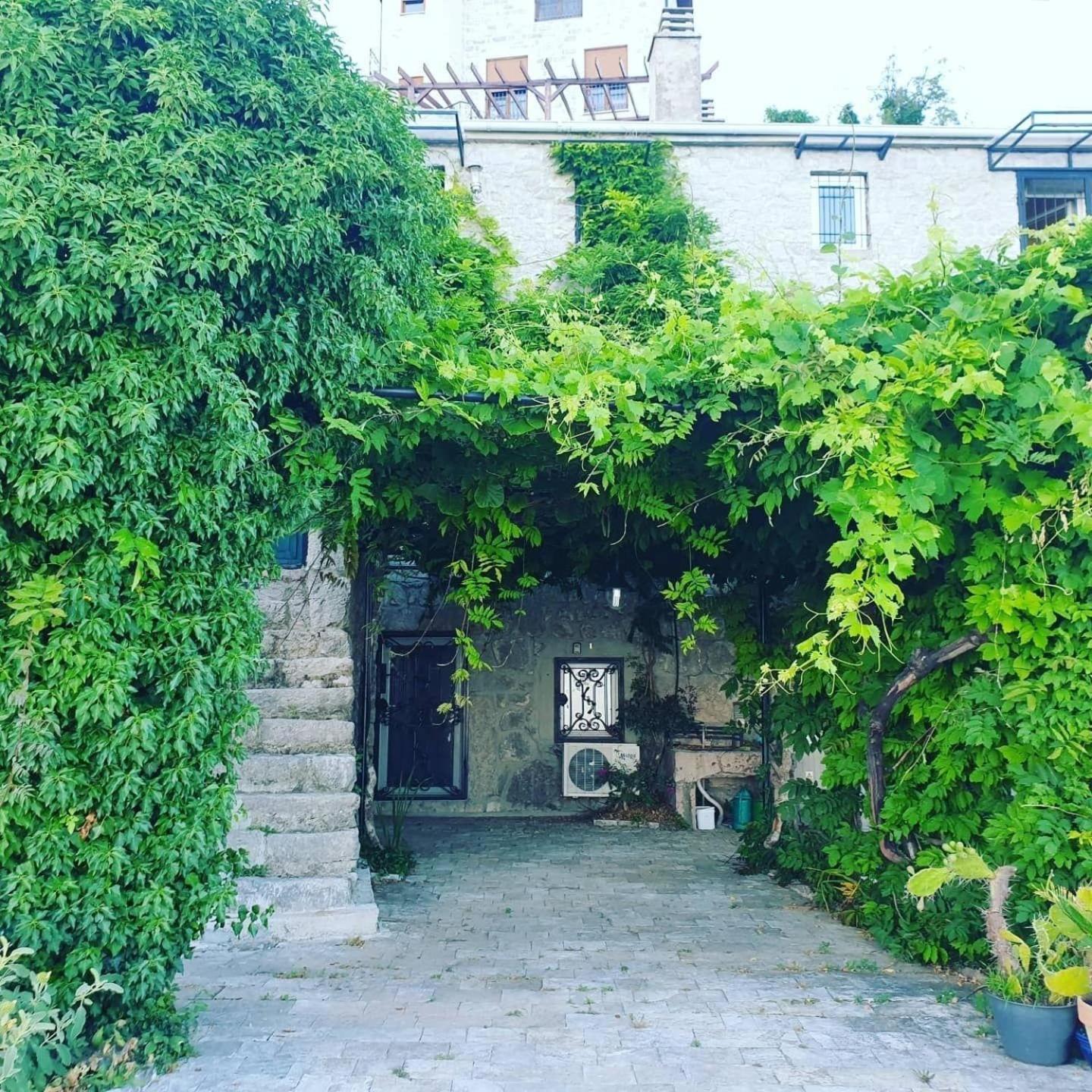 Tatil Evi Steinhaus Mimi 2 *